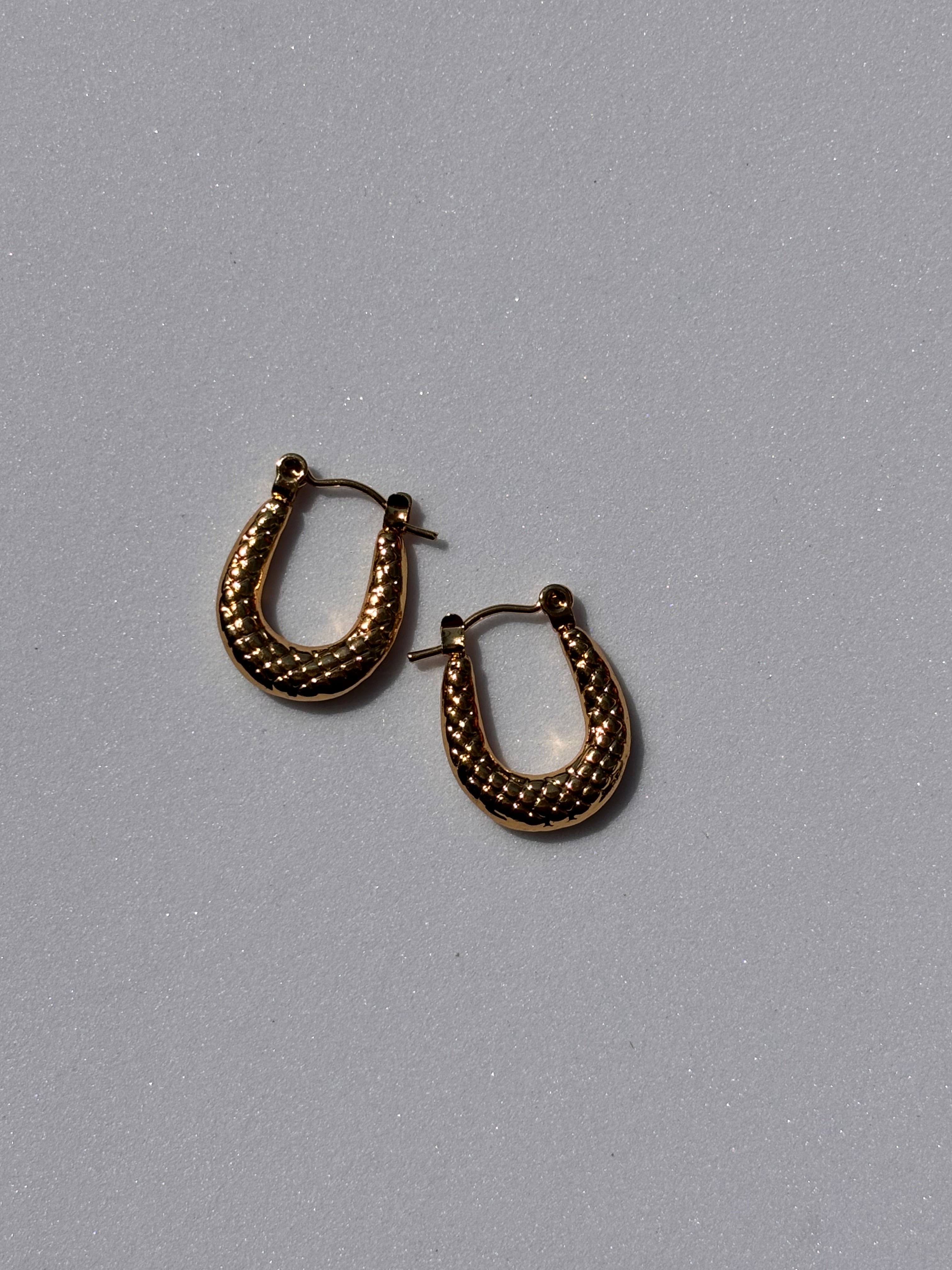 Tina hoops