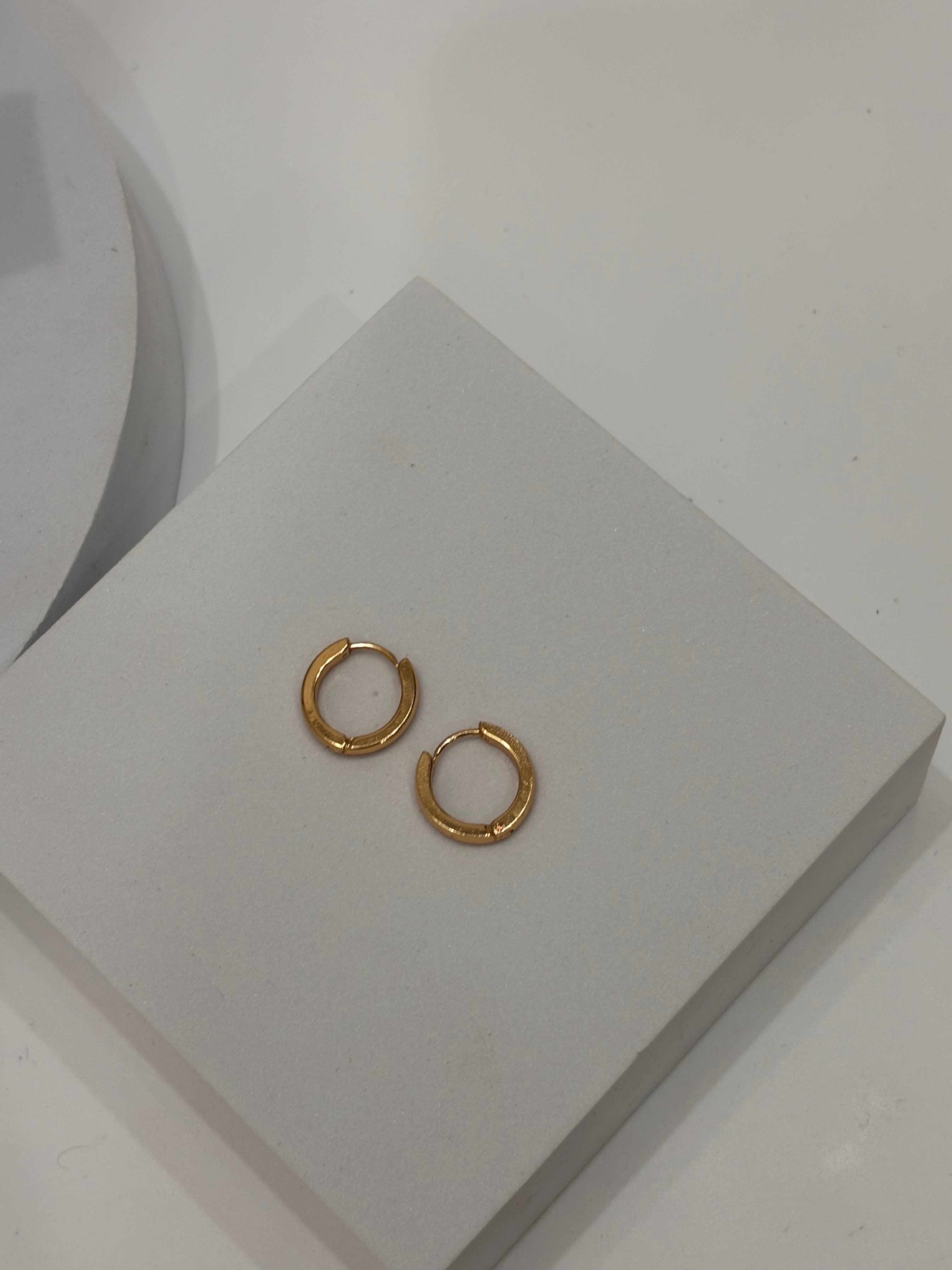 Sonic earring