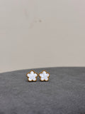 Aired earrings