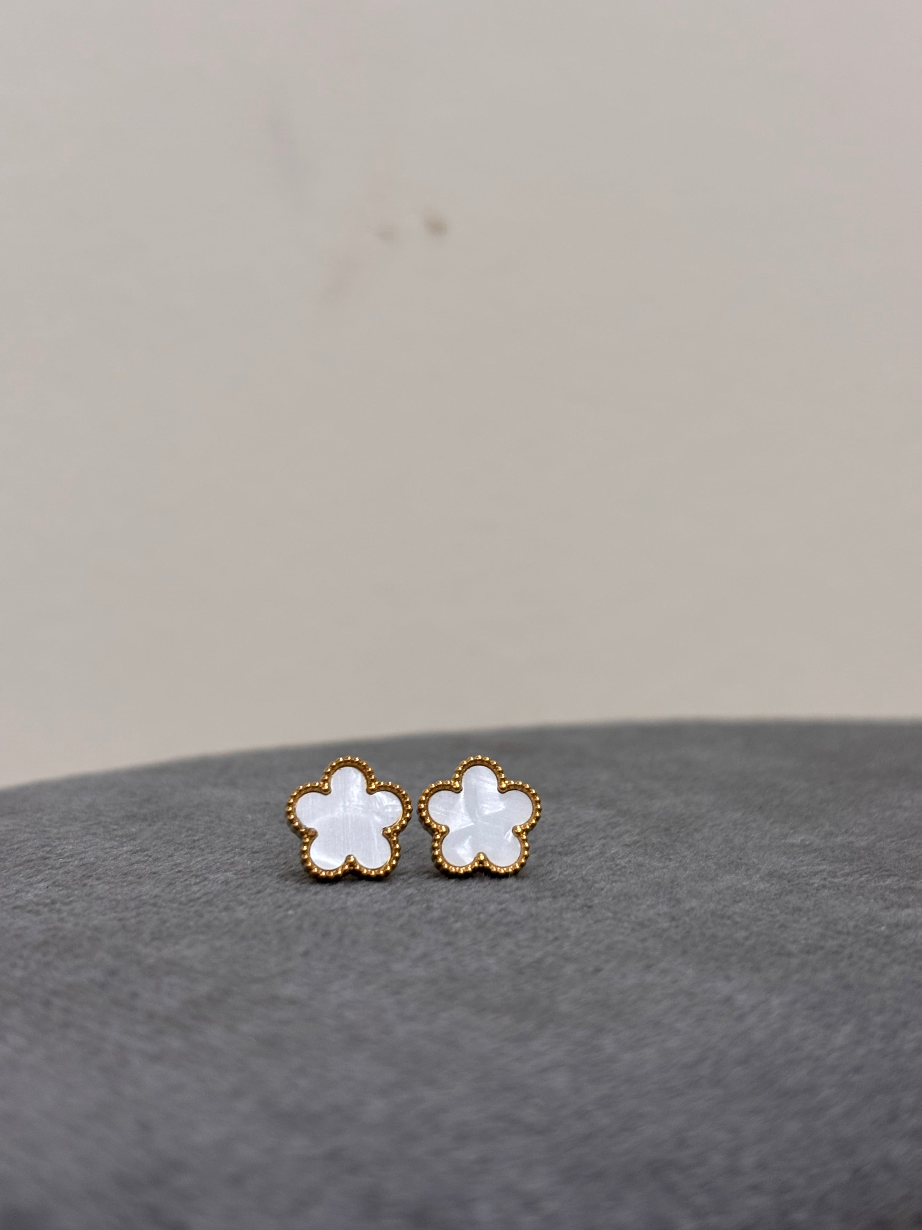 Aired earrings